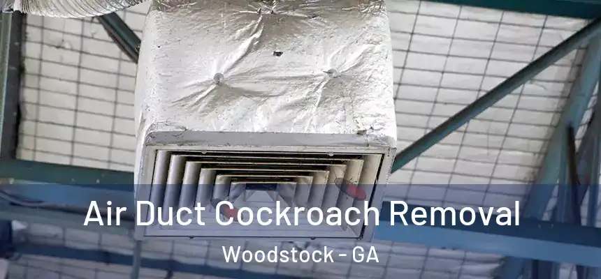 Air Duct Cockroach Removal Woodstock - GA