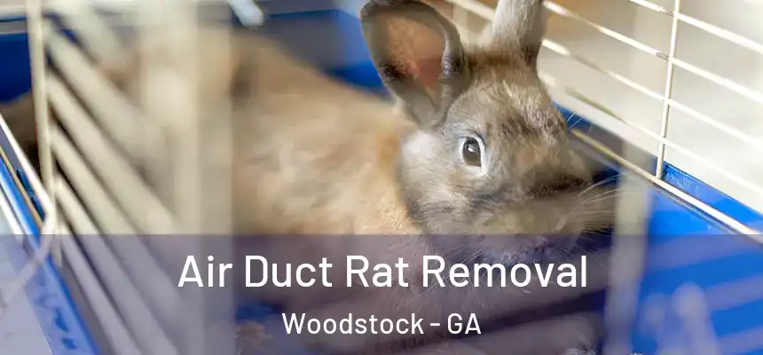 Air Duct Rat Removal Woodstock - GA