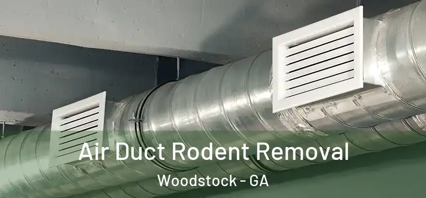 Air Duct Rodent Removal Woodstock - GA