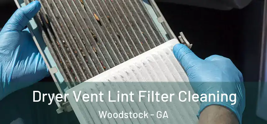 Dryer Vent Lint Filter Cleaning Woodstock - GA