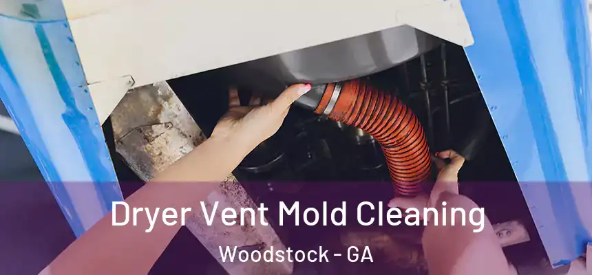 Dryer Vent Mold Cleaning Woodstock - GA