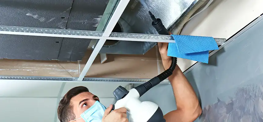 Our Air Duct Rodent Removal Services in Woodstock, GA