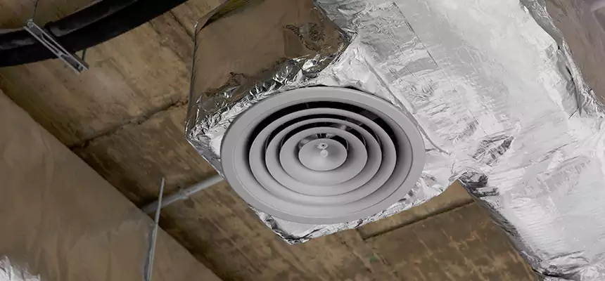 Our Excess Lint Removal from Dryer Ducts Services in Woodstock, GA