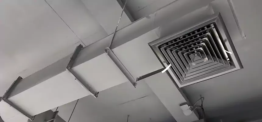 Our Pest Removal From Ducts Services in Woodstock, GA