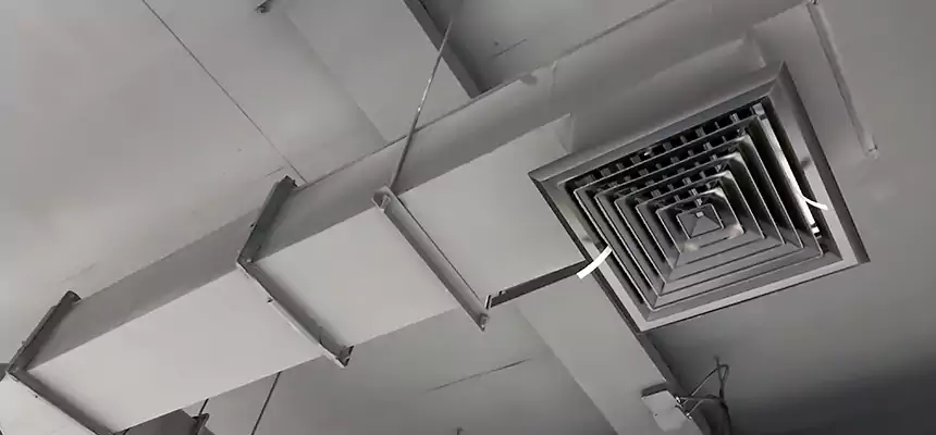 Our Rodent Droppings In Vents Services in Woodstock, GA