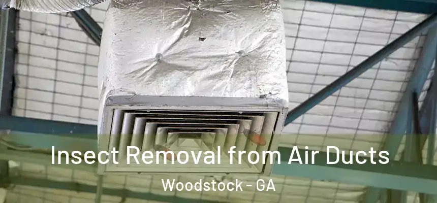 Insect Removal from Air Ducts Woodstock - GA