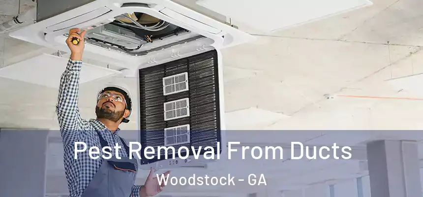 Pest Removal From Ducts Woodstock - GA