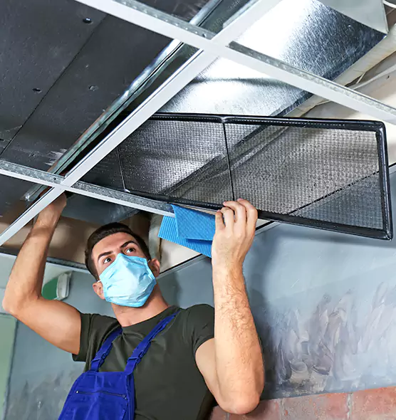 About Air Duct Bacteria Removal in Woodstock