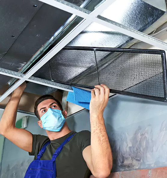Professional Air Duct Pollen Cleaning in Woodstock, GA
