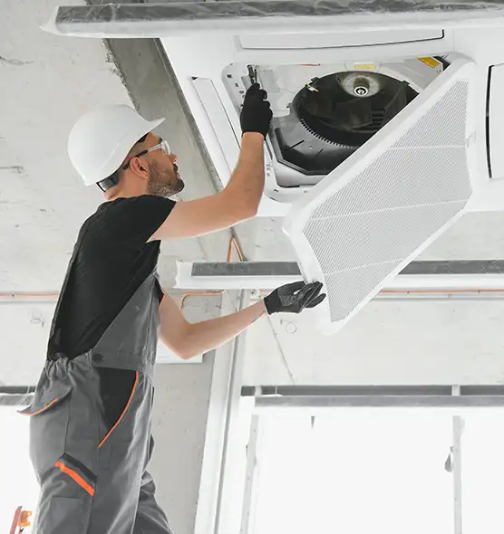 About Air Duct Rodent Removal in Woodstock, GA