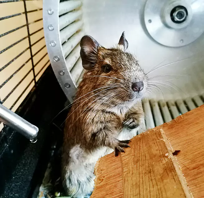 Why Homeowners & Businesses Trust Us Woodstock, GA