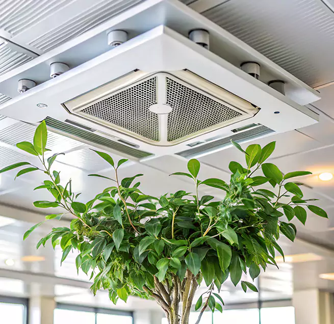 Why Homeowners & Businesses Trust Us in Woodstock, GA?