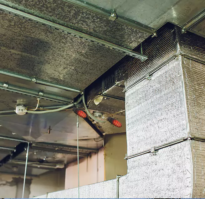 Why Homeowners & Businesses Trust Us Woodstock, GA?