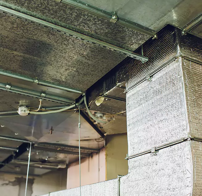 Why Homeowners & Businesses Trust Us in Woodstock, GA?